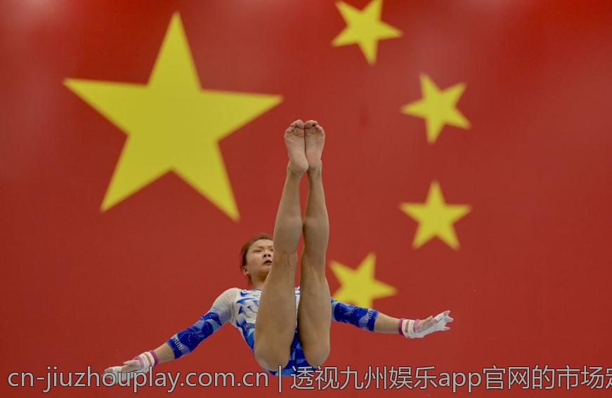 透视九州娱乐app官网的市场定位与策略